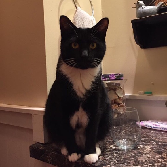 Meet your Posher, Cyndi My family is EVERYTHING!!! - Picture 4 of 7